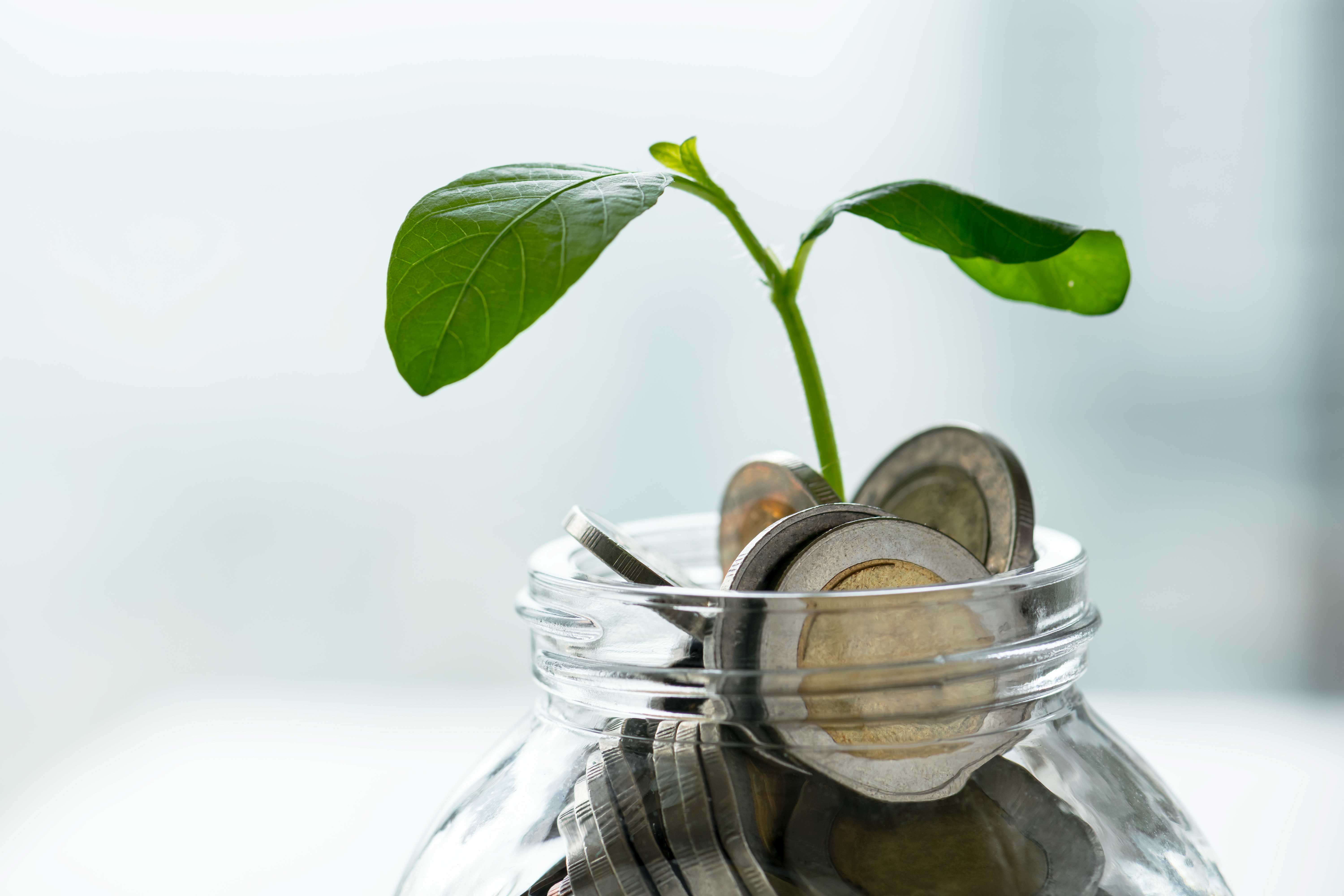 Channeling prosperity for purpose 